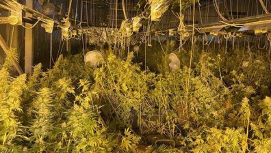 Разбиха голяма лаборатория за наркотици в столичния квартал "Кремиковци"