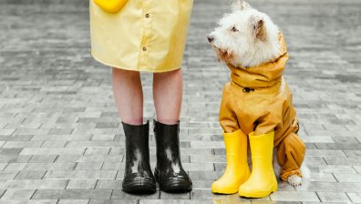 Облачен и дъждовен четвъртък, но с високи дневни температури