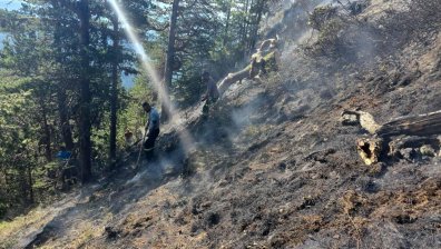 Няма активни огнища на пожара в Пирин, стихията е засегнала 45 000 декара