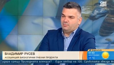 Пчелари поискаха субсидиране по 40 евро на пчелно семейство
