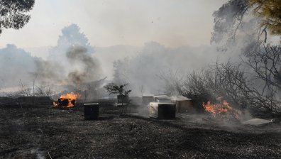 Овладяха най-критичния от 40-те пожара в Гърция