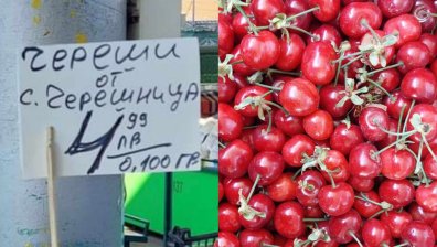 50 лв. за килограм череши - първа реколта за най-нетърпеливите