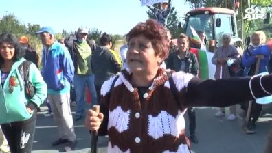 Винопроизводители блокираха Е-79: Не си заслужава да берем грозде за 10 ст.