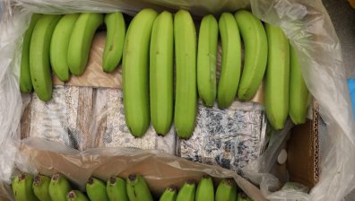 Рекорд: В Норвегия конфискуваха повече от 800 килограма кокаин, скрит в цитруси