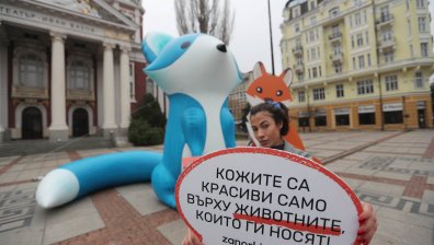 Разпънаха 3-метрова лисица пред Народния театър в знак на протест срещу фермите за кожи в ЕС