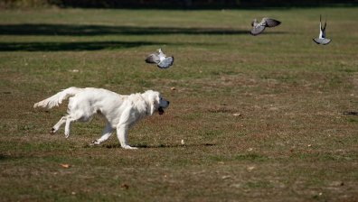 Слънце над цяла България, ще се радваме на топло време