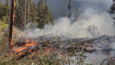 Пожар гори в труднодостъпен район над Струмяни