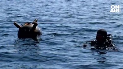 Военноморските сили не откриха мини в българските води на Черно море