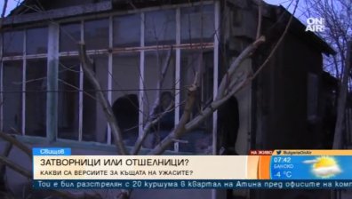 Майката от Свищов: Защо ни притеснявате? Оправяме се сами, децата ми са здрави!