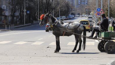 Каруца блъсна жена на пешеходна пътека в Асеновград