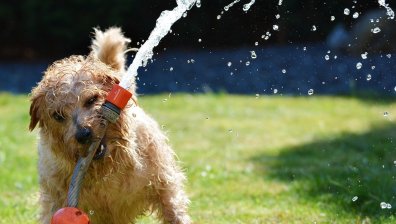 Очаква ни горещ вторник, но на места ще има гръмотевици