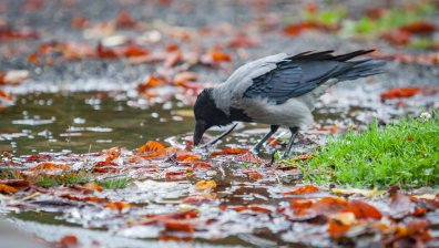 Времето днес: Слънчево с температури до 14° - интензивни валежи идват до дни
