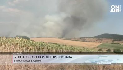 Обедна емисия