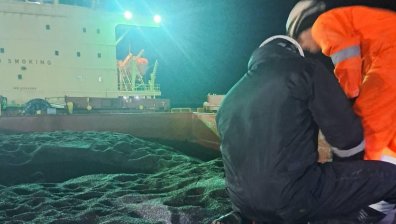 Слънчоглед от Аржентина е с допустимо олово, кадмий и никел, но пестициди над норма