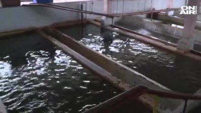 Борисов обеща 2,7 млн. лева за Перник заради водната криза