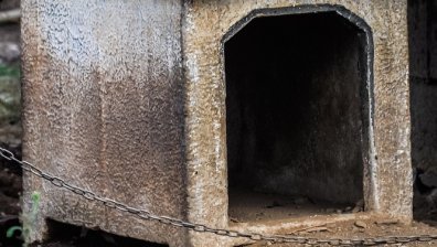 Майка затворила детето си в кучешка колиба, оставила го да гладува, намерили го в кома