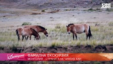 Фамилна екскурзия до Монголия - страна на номади, необятни степи и диви коне
