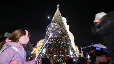 Коледната елха в София заблестя с над 20 000 светлини
