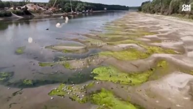 Директорът на АЕЦ "Черна вода": Заради ниския Дунав централата спря производството на ток