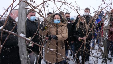 Танева: Лозаро-винарският сектор беше подпомогнат с 60 млн. лв. през 2020 г.