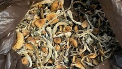 Коктейл от наркотици откриха от МВР в дома на 23-годишен