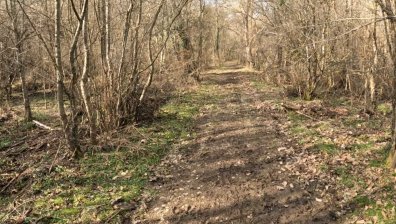 Мистерия около смъртта на 3 млади момчета в Странджа