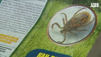 Започна извънредно пръскане против кърлежи заради повишената им популация