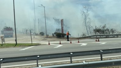 Затвориха АМ "Тракия" заради пожар край пътя