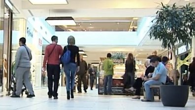 Сложната ориентация-основен недостатък на моловете в България