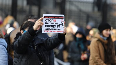 За ефективни присъди над насилниците на животни протестираха в няколко града