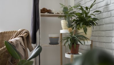 Пет неща, които да изхвърлите за повече позитивна енергия вкъщи