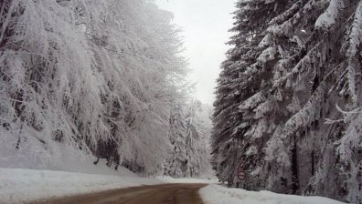 30-сантиметрова снежна покривка натрупа на "Петрохан" (+ВИДЕО)