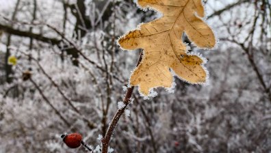 Времето днес: Облачно с валежи от дъжд и сняг