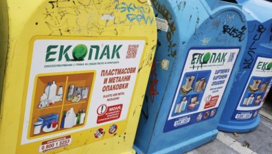 Сигнал от София: Контейнерите за хартия са пълни, около тях - ужасяваща гледка