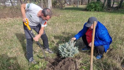 Доброволческа акция засади над 100 живи елхи в Бургас
