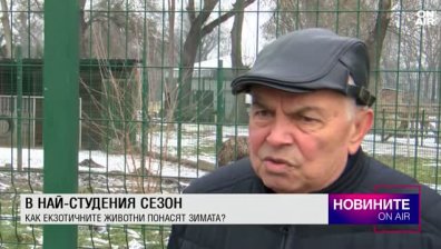 Централна емисия