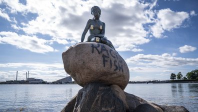 Сега пък Малката русалка била "расистка риба"