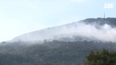 Мъж е задържан за непредумишлен палеж заради пожара край Реброво