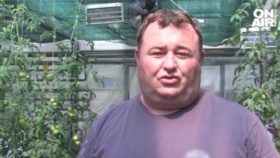 Собственици на оранжерии са на ръба, принудени са да уволняват работници