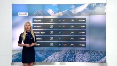 Централна прогноза