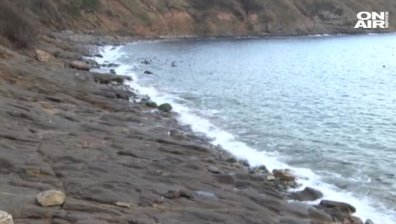 Тяло на мъж изплува от морето до вилна зона "Златна рибка"