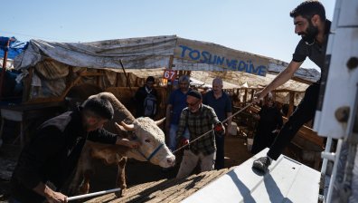 16 000 ранени в Турция в първия ден на Курбан байрам