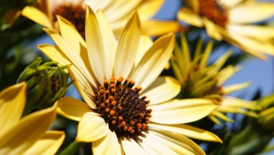 Посрещаме слънчева събота, на места ще има вятър