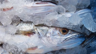 Русия забрани вноса на рибни и морски продукти от неприятелски страни