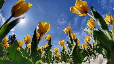 Времето през март: Зимата мъчително отстъпва пред пролетта