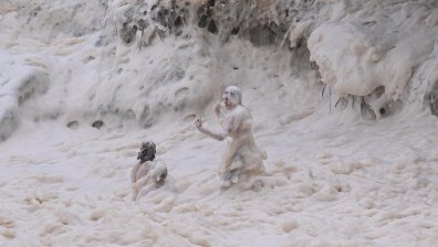 Токсични водорасли погубиха над 200 морски вида в Австралия