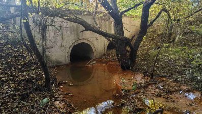 Замърсена ли е река Струма? РИОСВ с първа информация след пробите