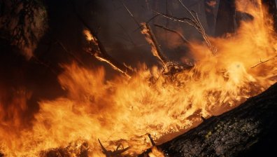 Голям пожар в Благоевградско, горят сухи треви и храсти