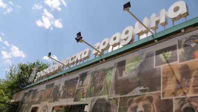 Зоопаркът в столицата отваря при строги мерки