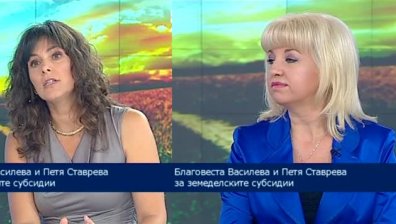 Закъсня дебатът за разпределението на земеделските субсидии за следващия програмен период, заяви П. Ставрева